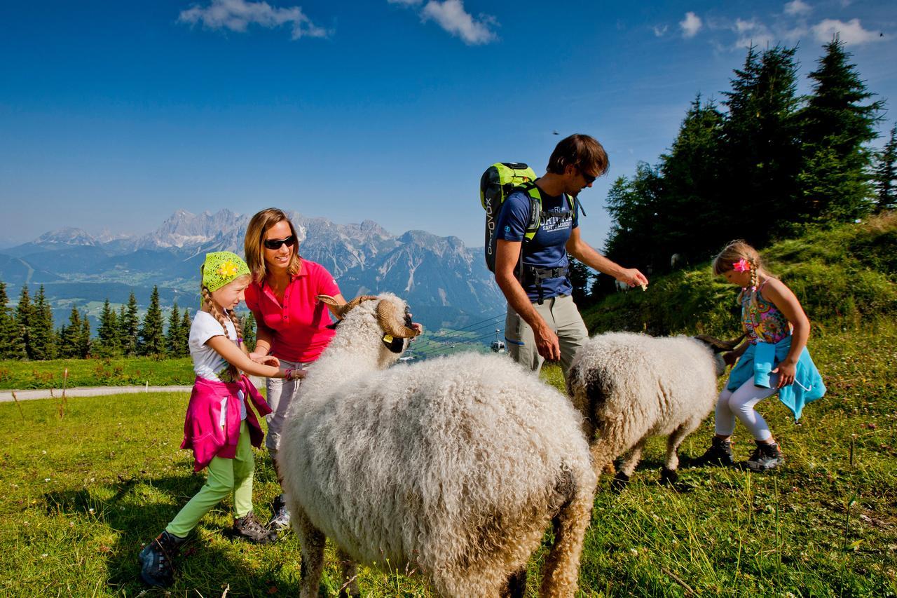 Alpenrock Appartements By Schladming-Appartements Εξωτερικό φωτογραφία